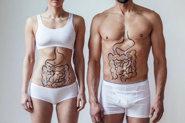 Why is gut health important?