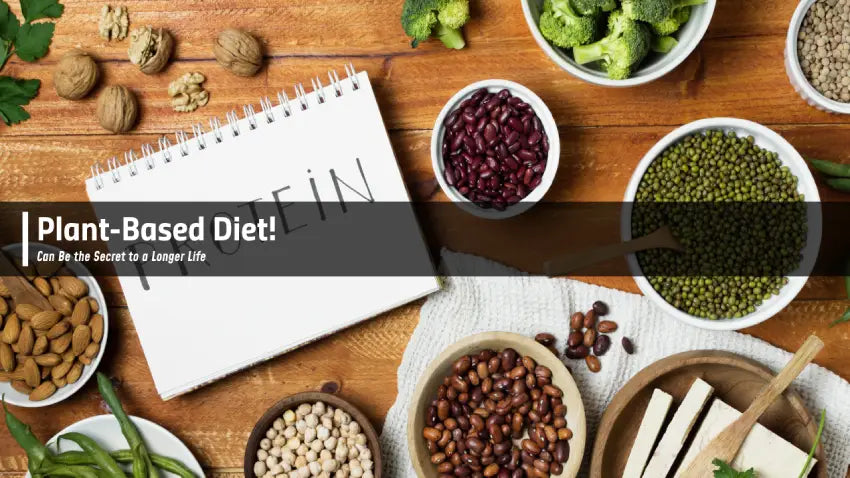 A Plant-Based Diet Can Be the Secret to a Longer Life – IN2 Nutrition