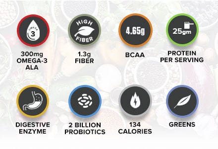 IN2 PLANT PROTEIN