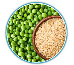 IN2 PLANT PROTEIN-_ORGANIC_PEA_PROTEIN