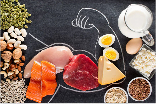 How Much Protein Do You Actually Absorb From Food? (And Why You Probably Need More Than You Think)