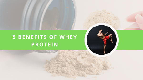 Top 5 Benefits Of Whey Protein